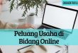 peluang usaha dibidang online