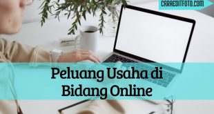 peluang usaha dibidang online