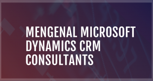 Mengenal Microsoft Dynamics CRM Consultants